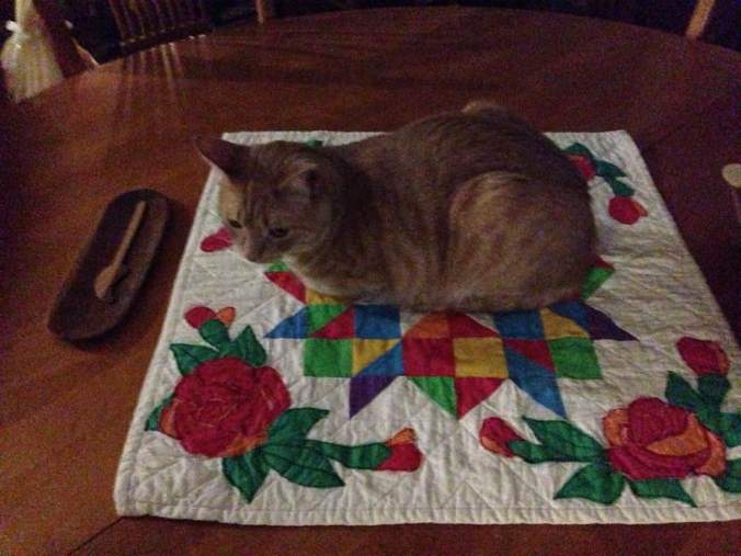 17098383_10209898773320771_4729998515937373524_n