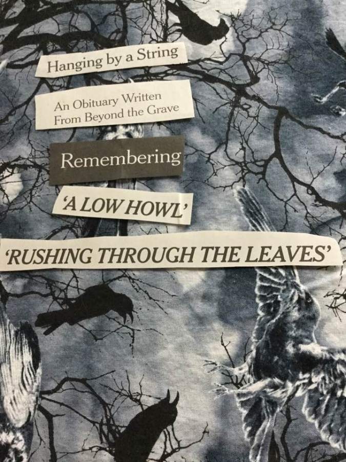 22448611_10211861149578951_8819454969963027118_n