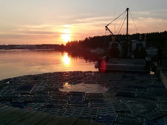 11953201_879043622142667_2062573052055496039_n