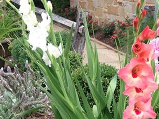 11792185_10205392141057781_8999807832600887271_o