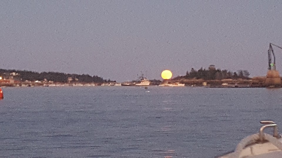 12308288_1034904629895625_3697984245882687863_n