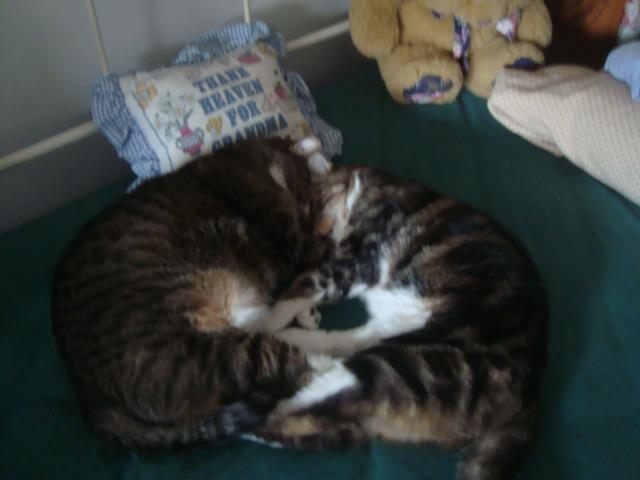 21330_10200184165501647_1779906164_n