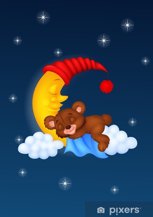 The teddy bear sleep on the moon
